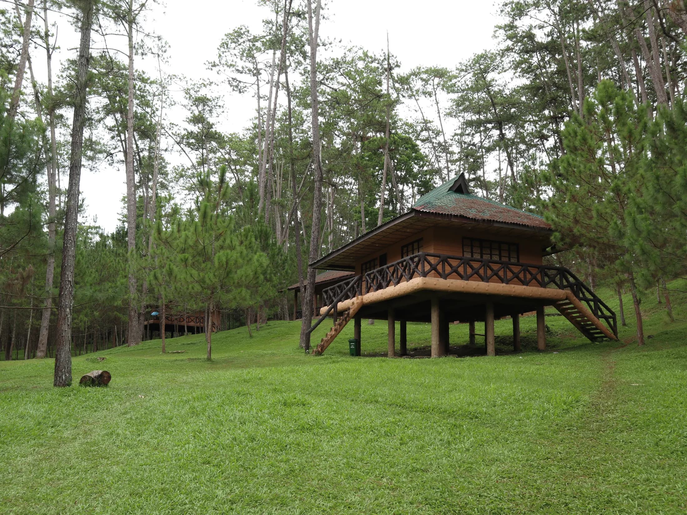 Kaamulan Park in San Victores, Malaybalay City