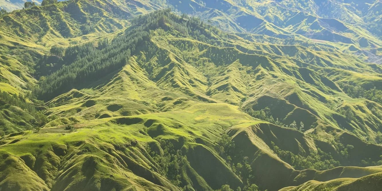 Sunlit green ridges folding across the mountain landscape at Panimahawa Ridge