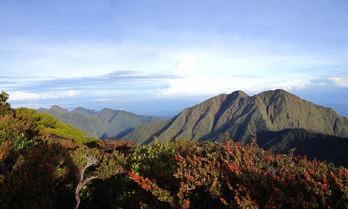Mountain ridges and high-elevation vegetation in the Mount Kitanglad range