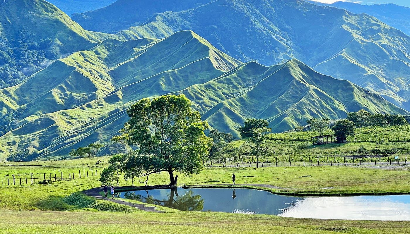 A lone tree beside a pond beneath layered green ridges at Communal Ranch in Impasugong